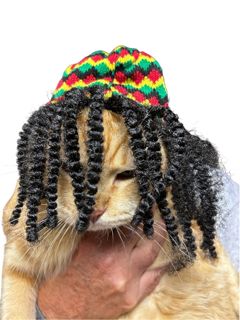 Petco Rastafarian Cat Hat